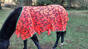 Sew Horse Fly Sheet