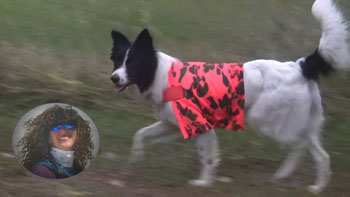 Sewing Hunting Dog Vest Video